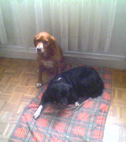 CIGANO & FANNY